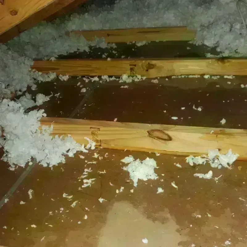 Attic Water Damage in Naguabo Municipio, PR